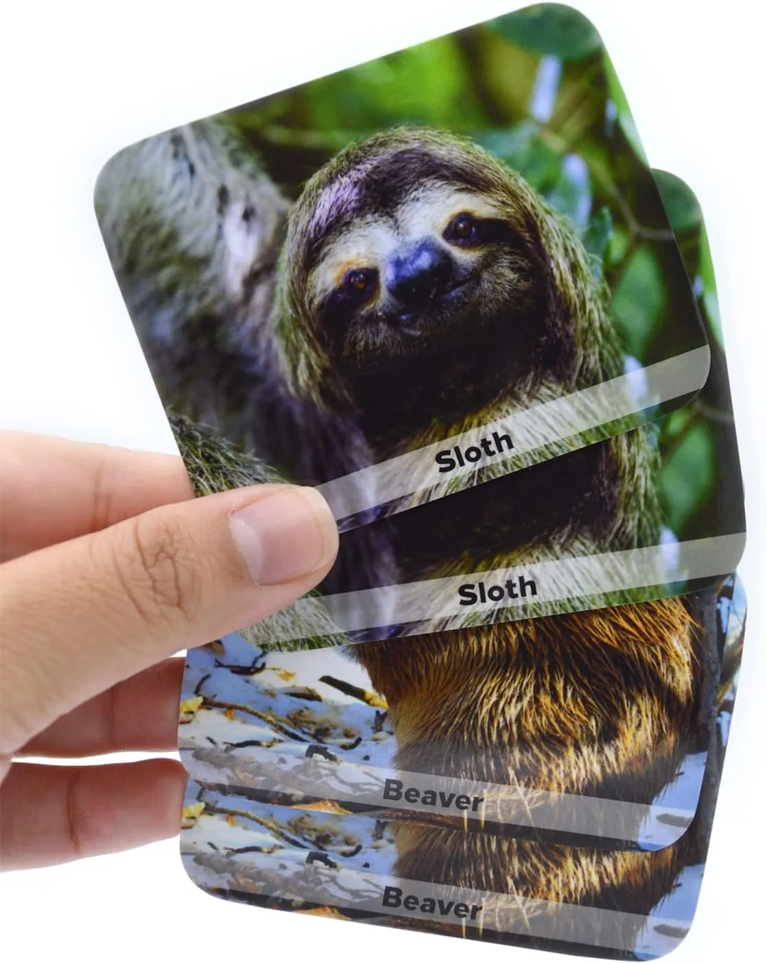 Menique Wild Animals Memory Matching Game – 80 Cards (40 Pairs) with Real Photos – Includes Educational Booklet with Animal Facts – Fun & Cognitive Game for Kids and Adults