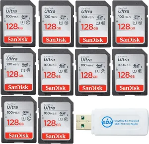 SanDisk 128GB Ultra - 10 Pack UHS-I Class 10 SD Flash Memory Card Retail (SDSDUNR-128G-GN6IN) - Bundle with (1) Everything But Stromboli Combo Card Reader