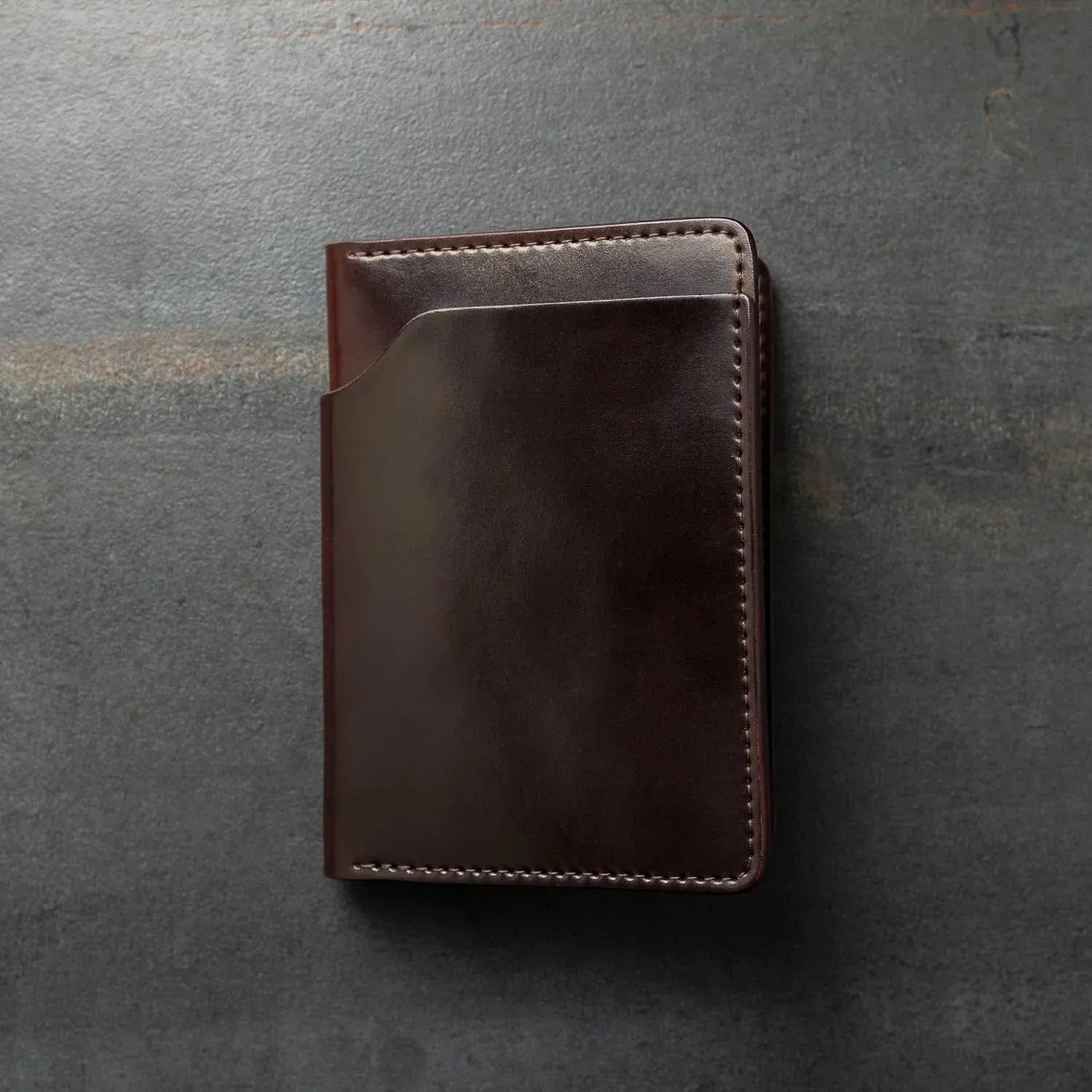 Traveler Passport Holder