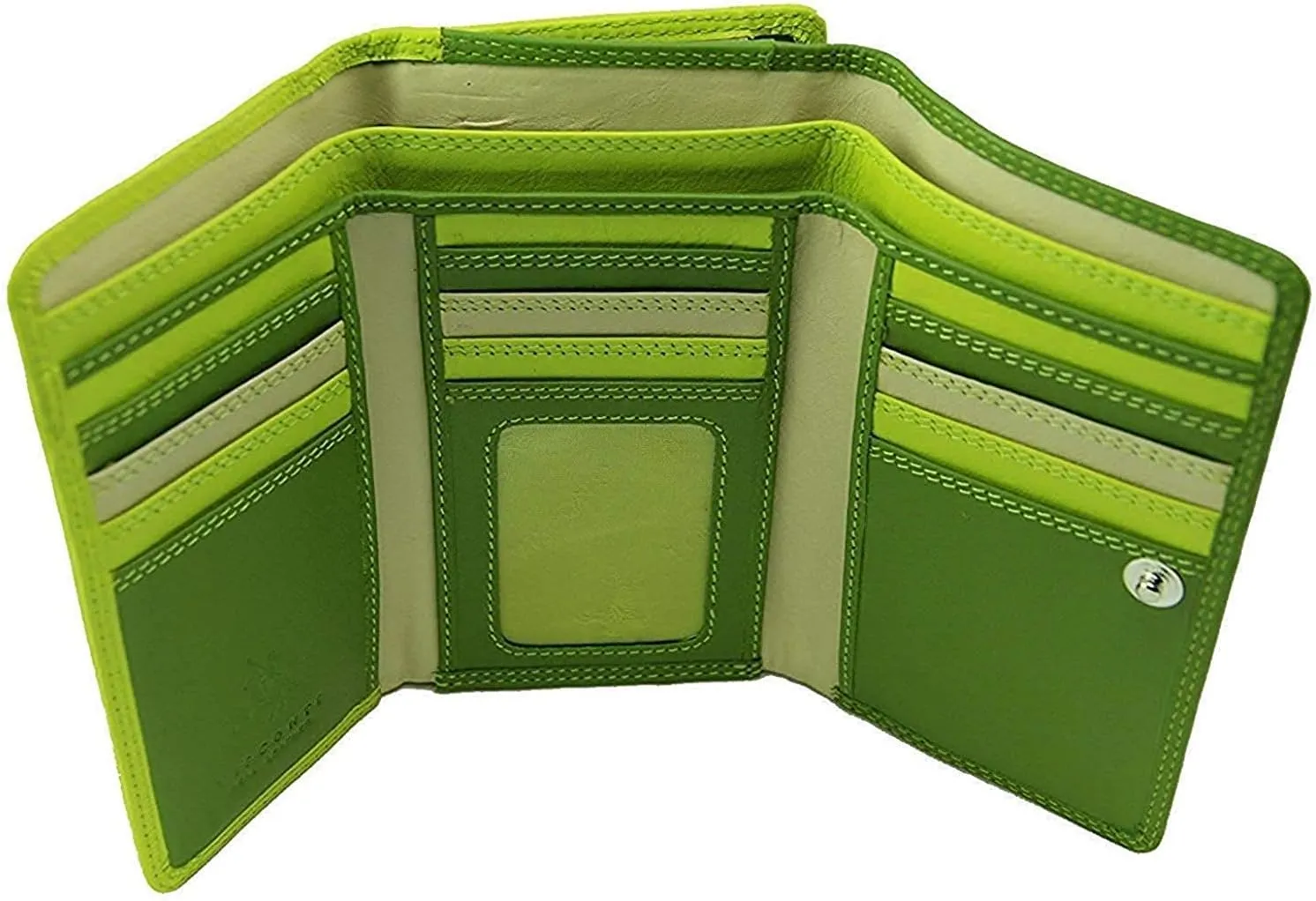 Visconti RB43 Multi Colored Large Trifold Soft Leather Ladies Wallet & Purse (Green Multi)