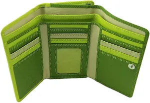 Visconti RB43 Multi Colored Large Trifold Soft Leather Ladies Wallet & Purse (Green Multi)
